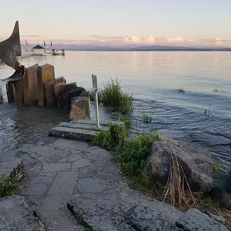 Malvelyns Am Bodensee *