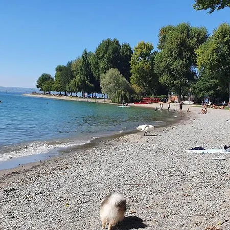 Malvelyns Am Bodensee