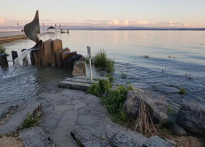 Malvelyns Am Bodensee *