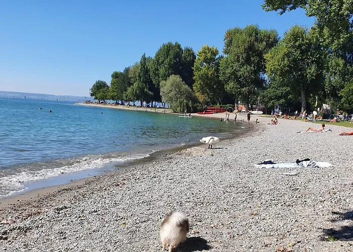 Malvelyns Am Bodensee